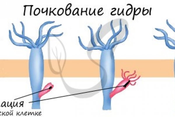 Ссылки в тор